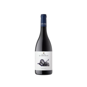 Josep Grau Viticultor El Pas de l'Estudiant 2023 - 75cl