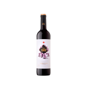 Can Ràfols dels Caus Petit Caus Negre 2023 - 75cl