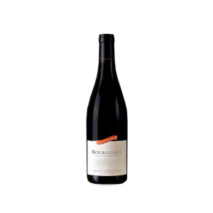 David Duband Bourgogne Rouge 2022 - 75cl