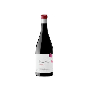 Descendientes de J. Palacios Corullón Magnum 2022 -