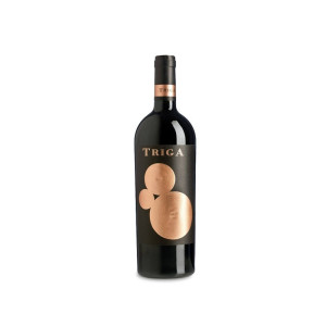 Volver Triga 2021 - 75cl