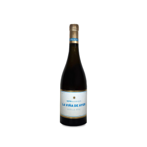 Bodega Soto y Manrique Soto Manrique La Viña de Ayer Albillo Real 2023 - 75cl