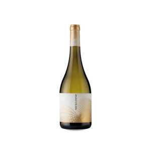 Viña Nora Nora da Neve 2023 - 75cl