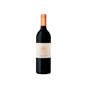 Áster Finca El Otero 2021 - 75cl