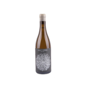 Casa Balaguer - Vinessens Casa Balaguer Salicornio Moscatel 2024 - 75cl