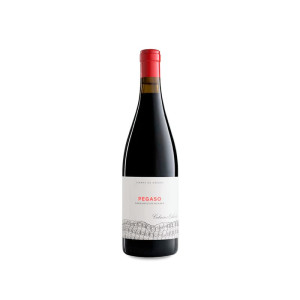Telmo Rodríguez Pegaso Barrancos de Pizarra 2022 - 75cl