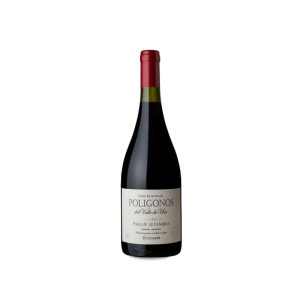 Zuccardi Polígonos Paraje Altamira Malbec 2023 - 75cl