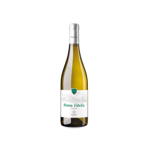 Pinna Fidelis Verdejo 2024 - 75cl