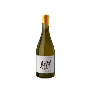 Zuccardi Fósil 2023 - 75cl