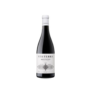 Terroir Sense Fronteres Vèrtebra de la Figuera 2022 - 75cl