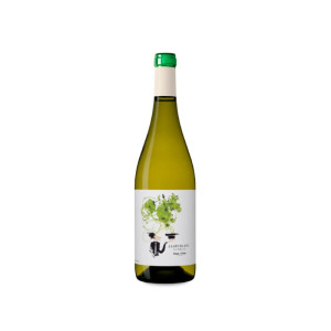 Coca i Fitó Jaspi Blanc 2024 - 75cl