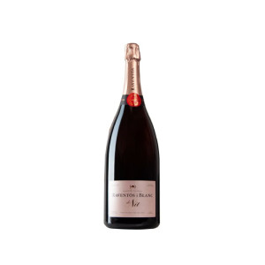 Raventós i Blanc de Nit Magnum 2023 -