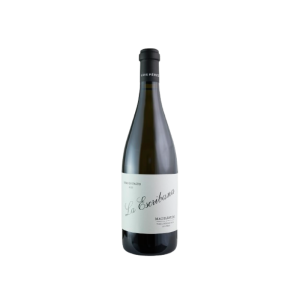 Bodegas Luis Pérez La Escribana Vino de Pasto 2024 - 75cl
