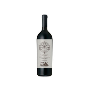 Bodega Aleanna Gran Enemigo Gualtallary 2021 - 75cl