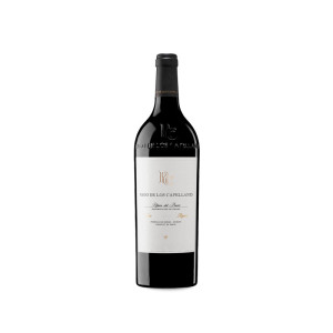Pago de los Capellanes Reserva Magnum 2022 -