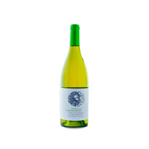Waterkloof Seriously Cool Chenin Blanc 2025 - 75cl