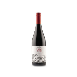 Dominio de Tares Baltos 2023 - 75cl