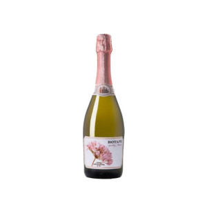 Jorge Ordoñez Botani Espumoso 2024 - 75cl