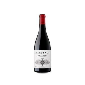 Terroir Sense Fronteres Marcenca 2022 - 75cl