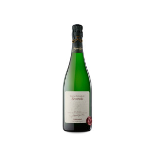Recaredo Reserva Particular 2017 - 75cl