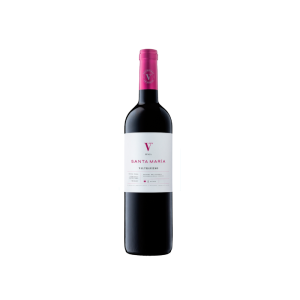 Valtravieso Bodegas y Viñedos Valtravieso Finca Santa María 2024 - 75cl
