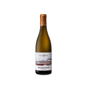 Edouard Delaunay Bourgogne Chardonnay 2022 - 75cl