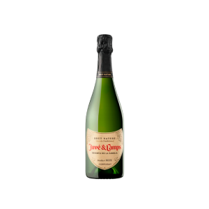 Juvé & Camps Reserva de la Familia 2022 - 75cl