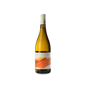 Fil·loxera & Cía Beberás de la copa de tu hermana 2023 - 75cl