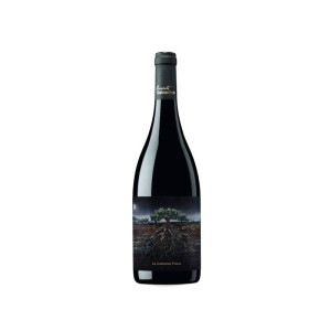 Proyecto Garnachas de España La Garnatxa Fosca del Priorat 2023 - 75cl