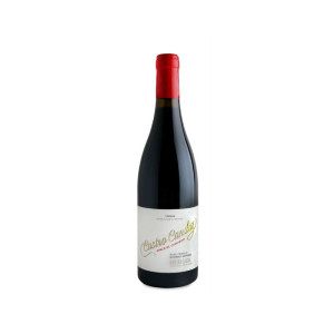 Castro Candaz Finca El Curvado 2022 - 75cl