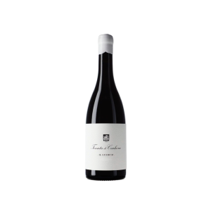 Tenuta di Carleone Il Guercio 2023 - 75cl