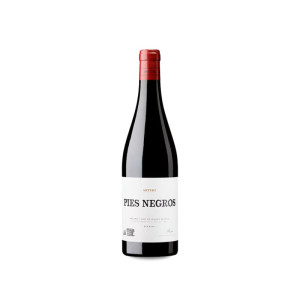 Bodegas y Viñedos Artuke Artuke Pies Negros 2024 - 75cl