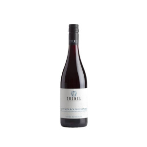 Trénel Coteaux Bourguignons 2024 - 75cl