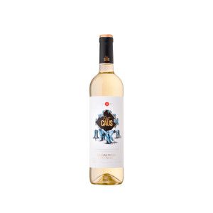 Can Ràfols dels Caus Petit Caus Blanc 2025 - 75cl