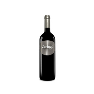Maurodos Bodegas y Viñedos San Román Cartago Paraje del Pozo 2021 - 75cl