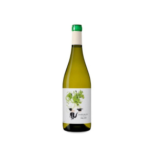 Coca i Fitó Jaspi Blanc 2025 - 75cl