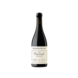 Bodega Hacienda Solano Hacienda Solano Finca Cascorrales 2019 - 75cl