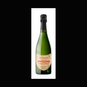 Juvé & Camps Reserva de la Familia 2022 - 75cl