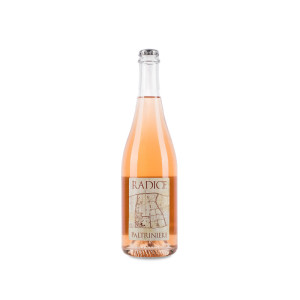 Paltrinieri Lambrusco di Sorbara Radice 2025 - 75cl