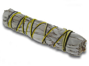 Sauge blanche en fagotin de 90-95 gr