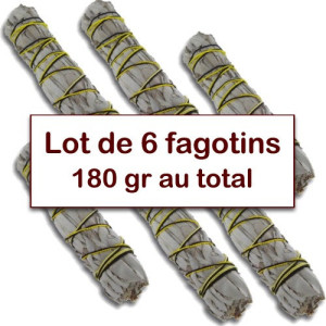 lot de 6 Sauge blanche en fagotins