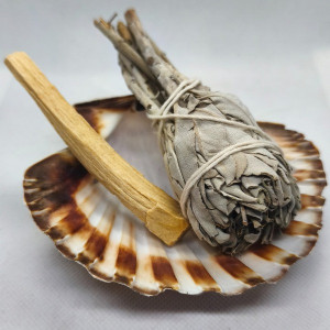 Saint jacques - Palo Santo - Sauge Blanche