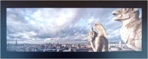 Tableau bois gargouilles paris.