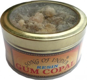 Encens résine gum copal song of india