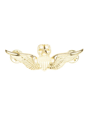 Brosche Flieger gold