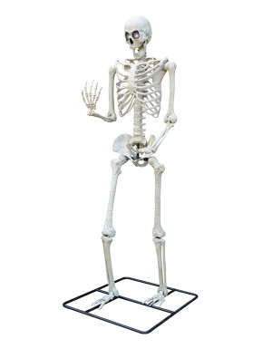 Skelett stehend mit LED-Augen 317,5cm weiß