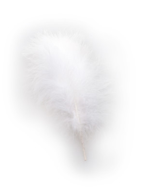 Marabufeder 25cm weiß | Kostümzubehör & Accessoires für Karneval & Halloween | Deiters