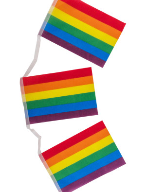 Wimpelkette 6m Flagge rainbow | Partydeko für Karneval, Halloween & mehr | Deiters