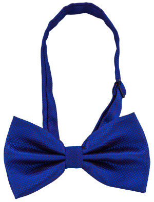 Fliege mit Webmuster blau