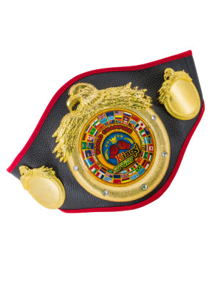 Gürtel Champion schwarz/gold one size
